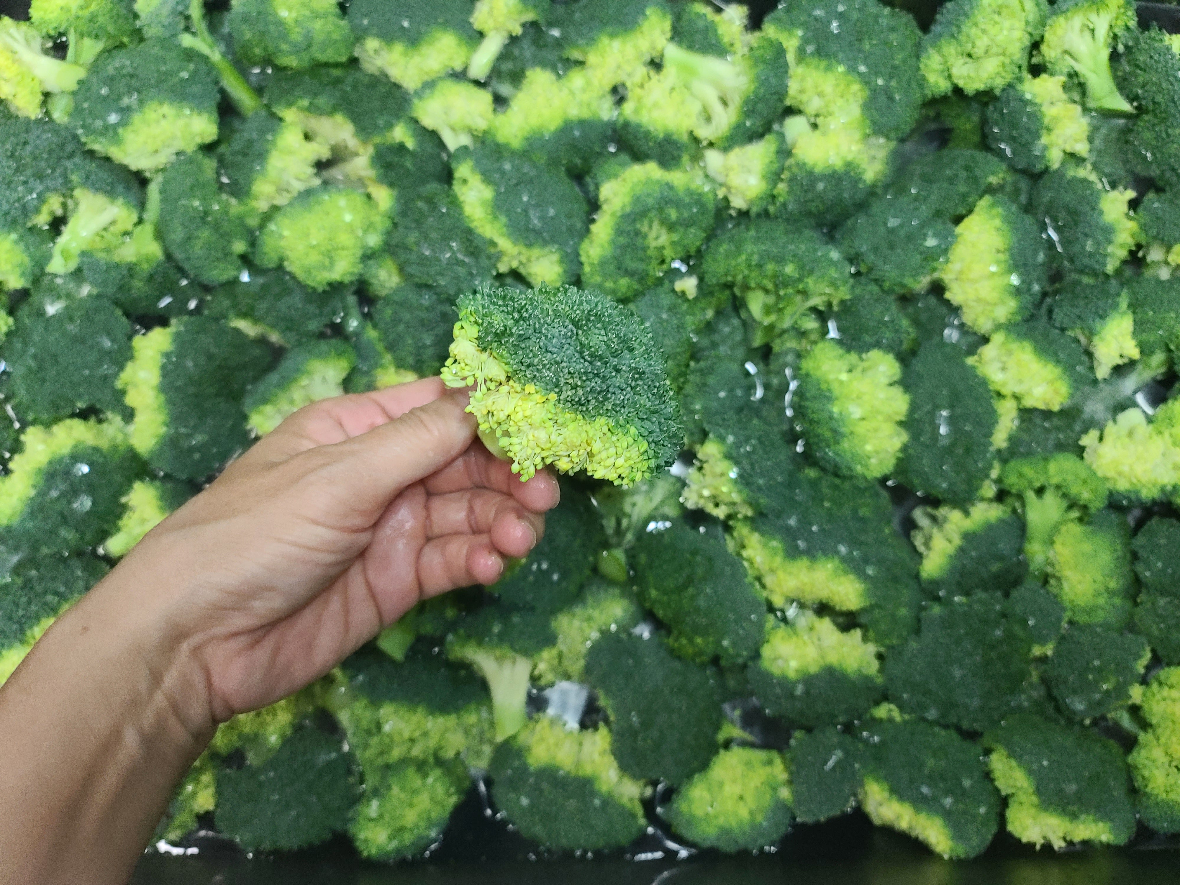 Air-dried Broccoli