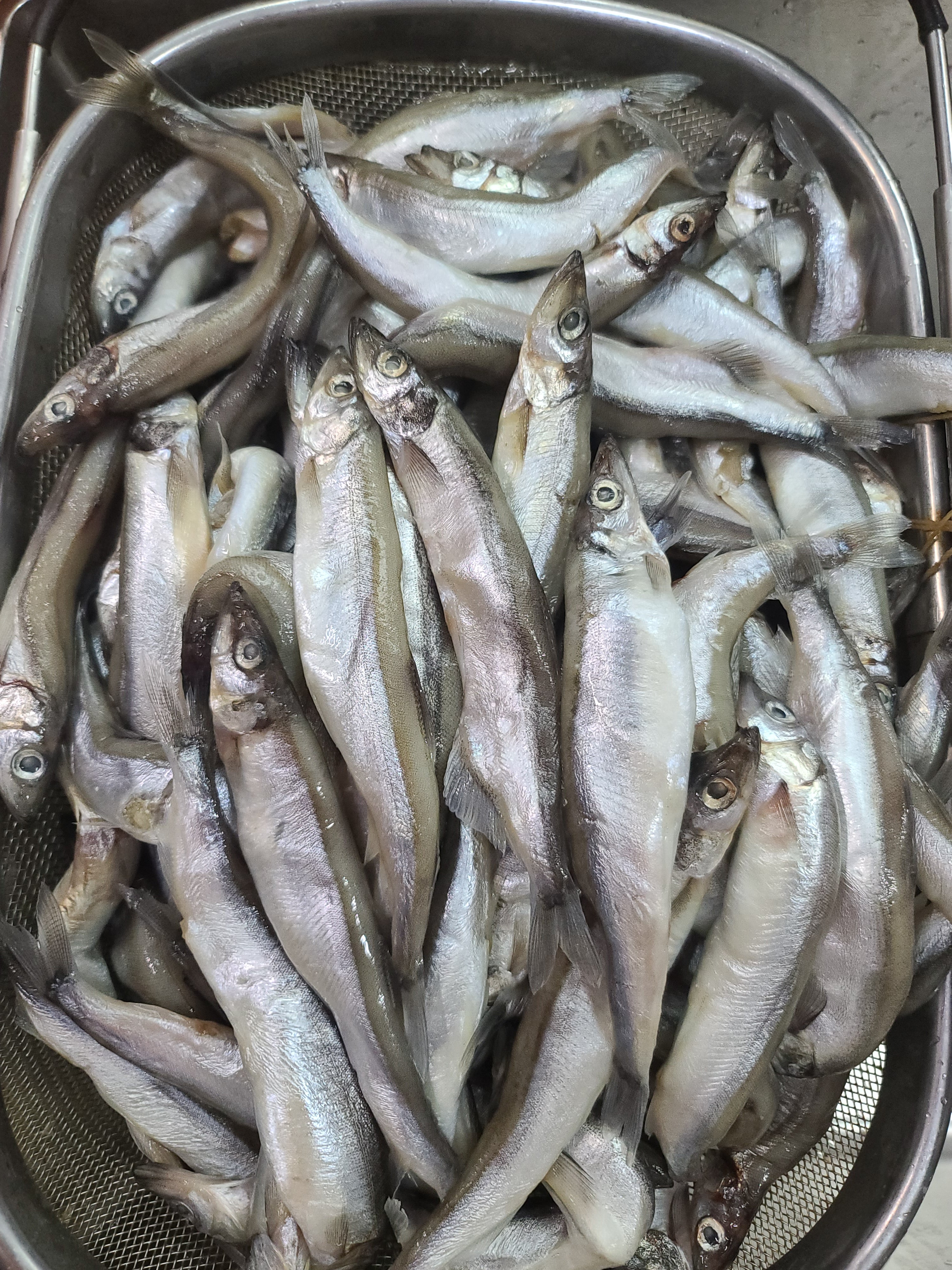 風乾多春魚