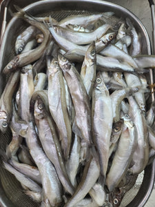 風乾多春魚