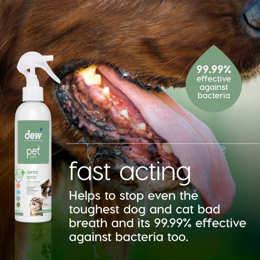 Dew Pet Dental Spray
