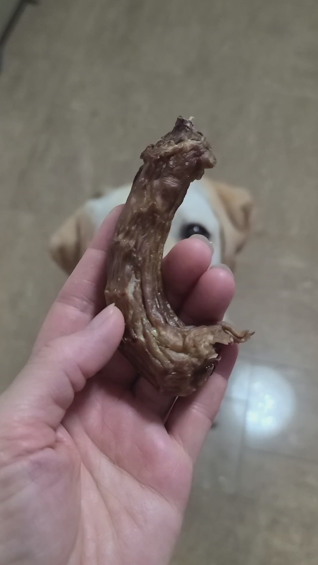 Air-dried Chicken Neck