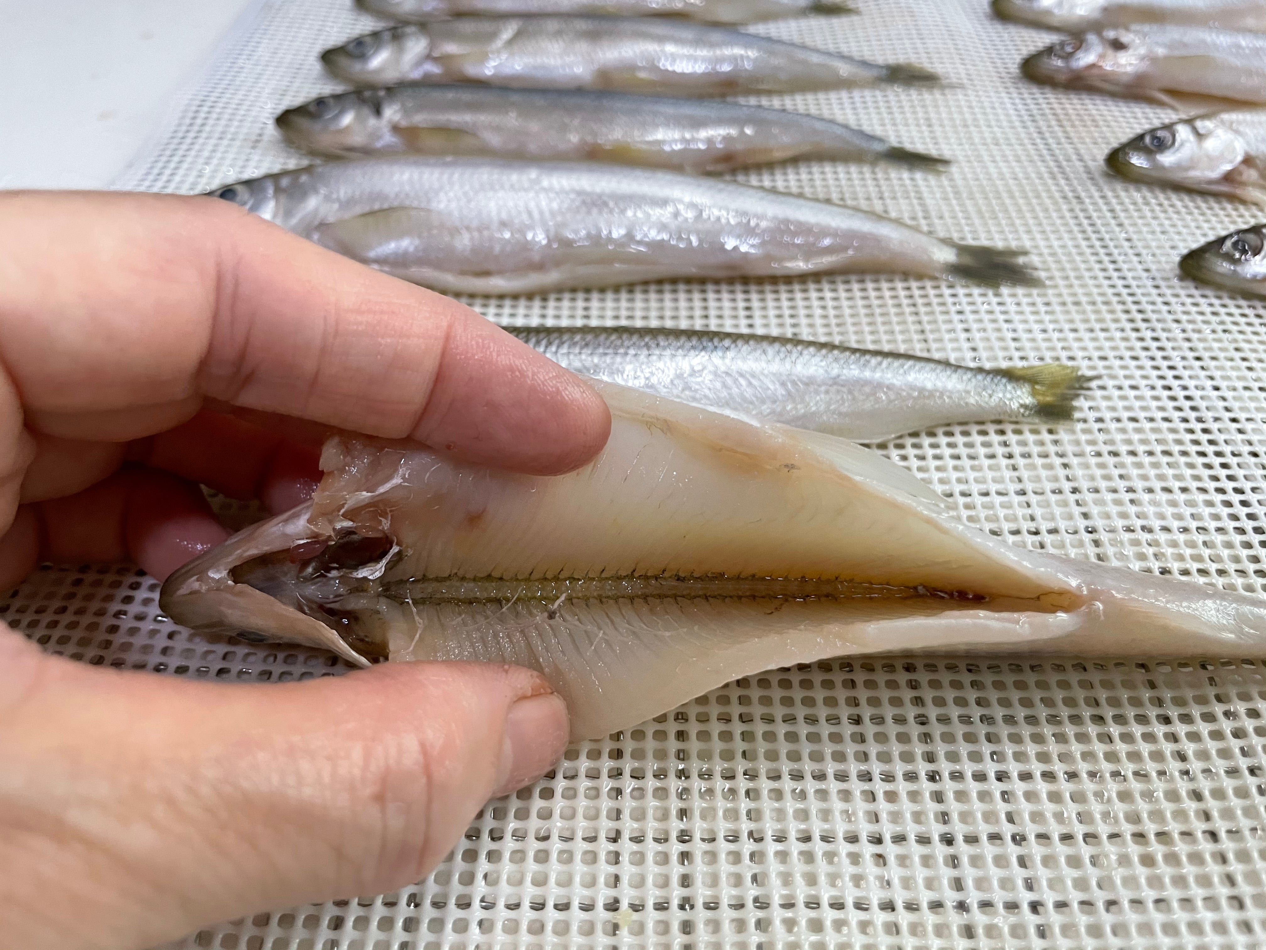 Air-dried Anchovy