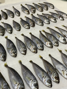 Air-dried Jack Mackerel