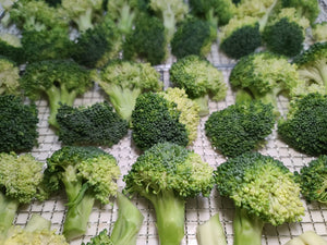 Air-dried Broccoli